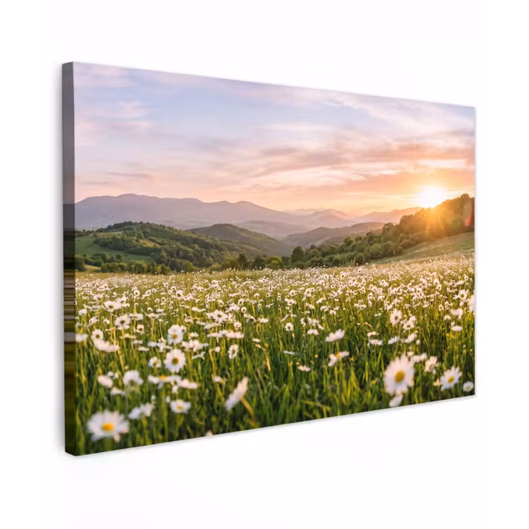 Madelief - Veld - Heuvels - Groen canvas 2cm klein -z3d
