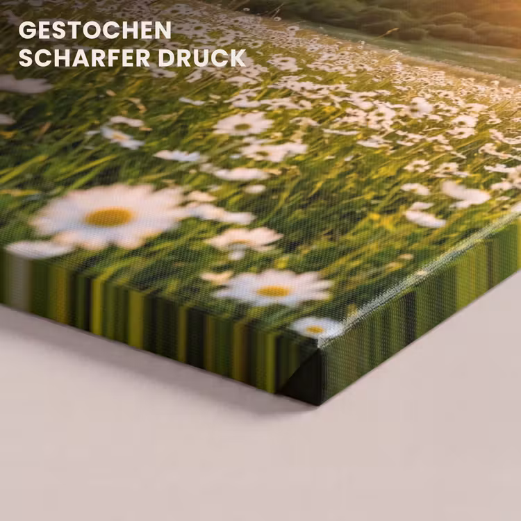 Madelief - Veld - Heuvels - Groen canvas 2cm klein -closeup_print_DE