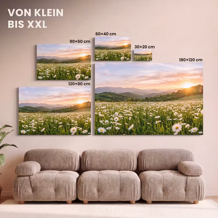 Madelief - Veld - Heuvels - Groen canvas 2cm klein -Xsfeer8_DE