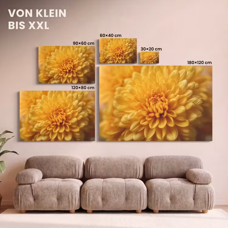 Geel - Chrysant - Zachtheid canvas 2cm klein -Xsfeer8_DE