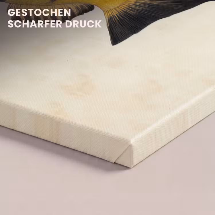 Geel - Vis - Strepen - Tropisch canvas 2cm klein -closeup_print_DE