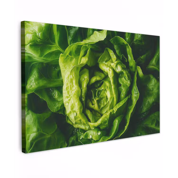 Groente - Sla - Groen canvas 2cm klein -z3d