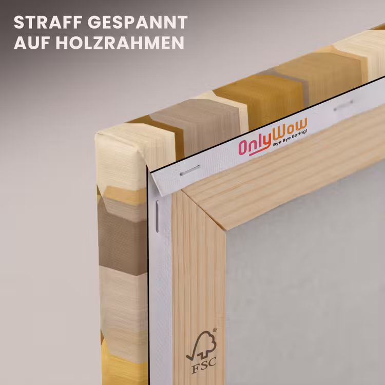 Geometrisch - Driehoek - Goud canvas 2cm klein 34 -uniquesellingpoint_afwerking-onlywow_DE