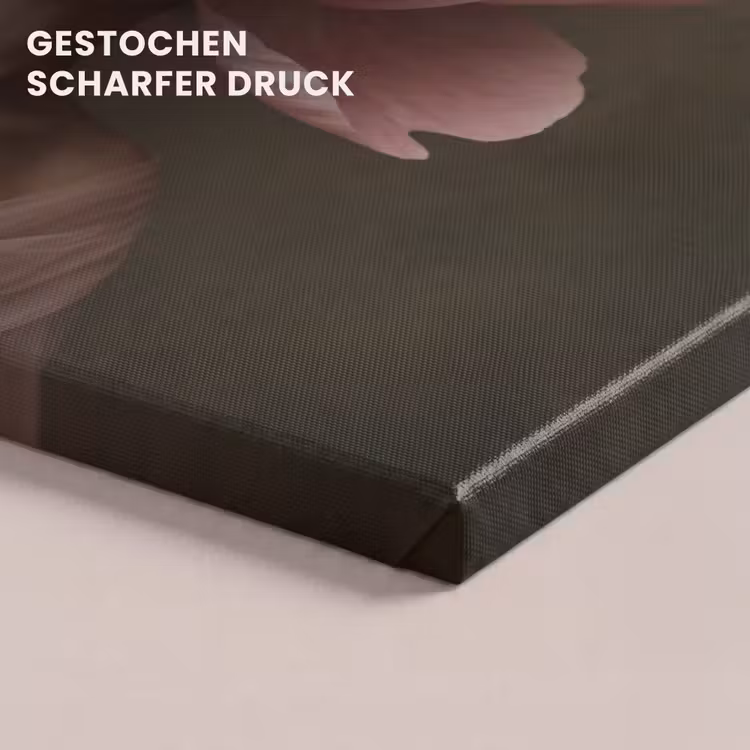 Gezicht - Roos - Roze canvas 2cm klein -uniquesellingpoint_afwerking-onlywow_DE