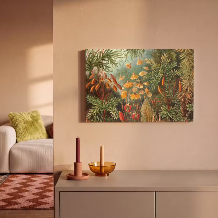 Design - Natuur - Paddenstoelen - Ernst Haeckel canvas 2cm klein -sfeer1