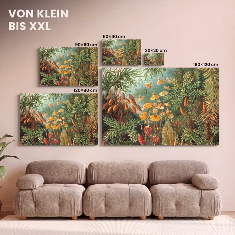 Design - Natuur - Paddenstoelen - Ernst Haeckel canvas 2cm klein -Xsfeer8_DE