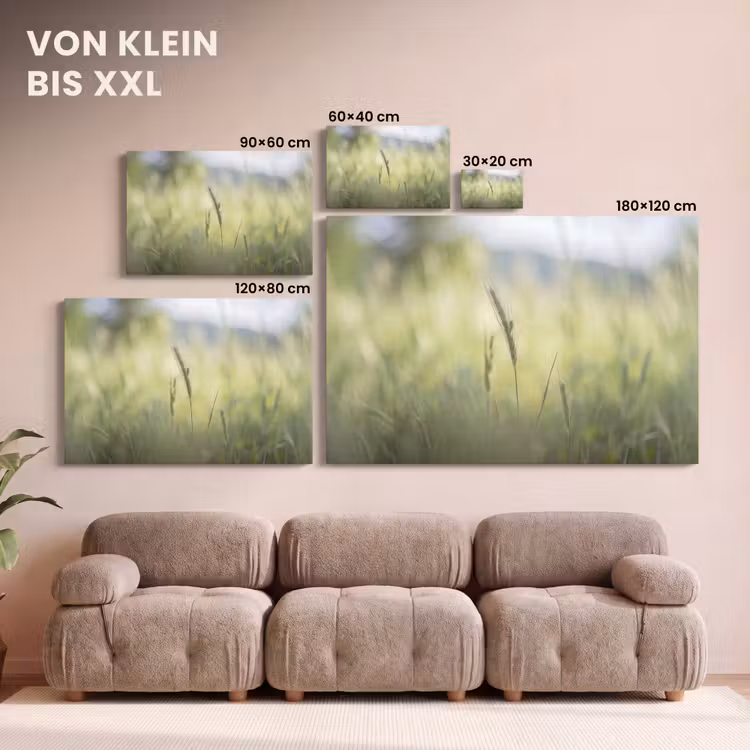 Graan - Aar - Natuur - Groen - Detail canvas 2cm klein -Xsfeer8_DE