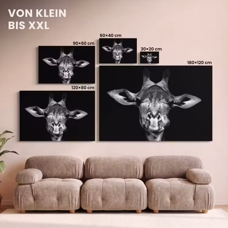 Giraffe - Portret - Dieren - Zwart - Wit canvas 2cm klein -Xsfeer8_DE