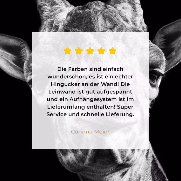 Giraffe - Dier - Zwart - Wit canvas 2cm klein -sfeer3