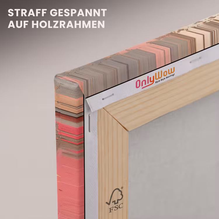 Graffiti - Meisje - Roze - Street art - Roos - Banksy canvas 2cm klein -uniquesellingpoint_afwerking-onlywow_DE