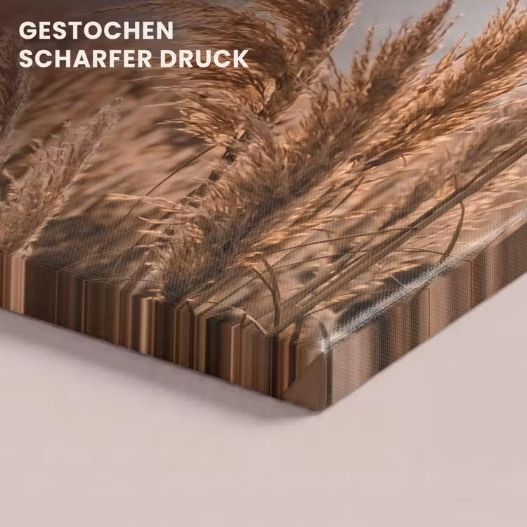 Gras - Veld - Zon - Natuur canvas 2cm klein -uniquesellingpoint_afwerking-onlywow_DE