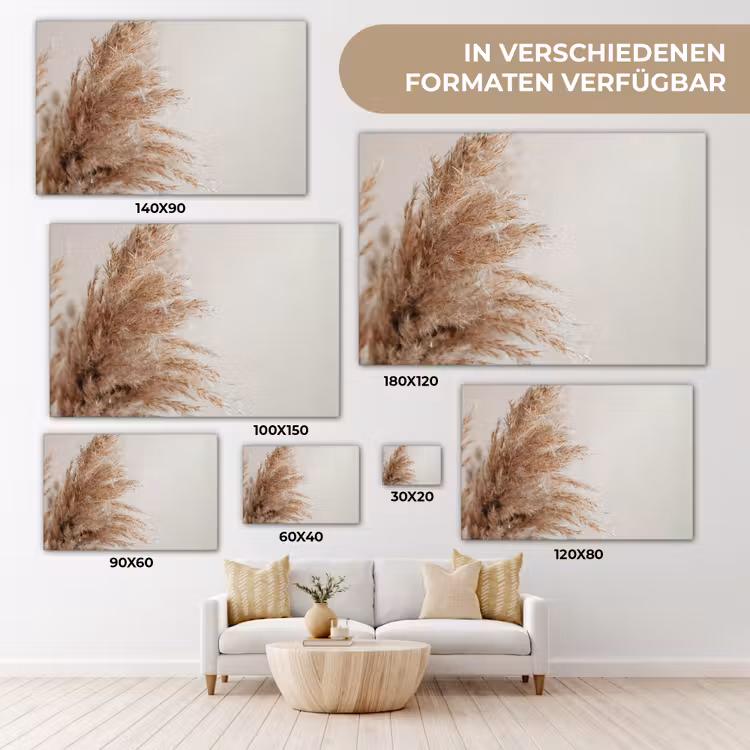 Gras - Planten - Natuur - Pampasgras canvas 2cm klein -Xsfeer8_DE
