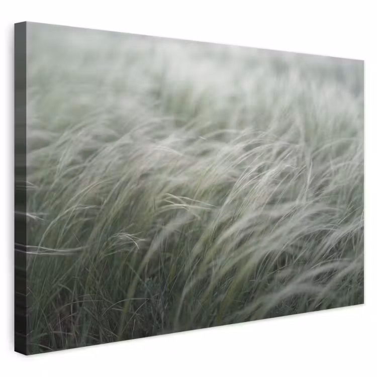 Gras - Wazig - Natuur - Groen - Zacht canvas 2cm klein -3d