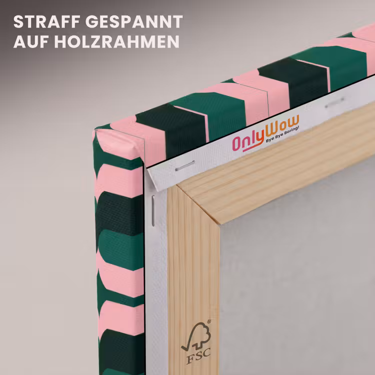 Groen - Roze - Retro - Sterren canvas 2cm klein 34 -uniquesellingpoint_afwerking-onlywow_DE