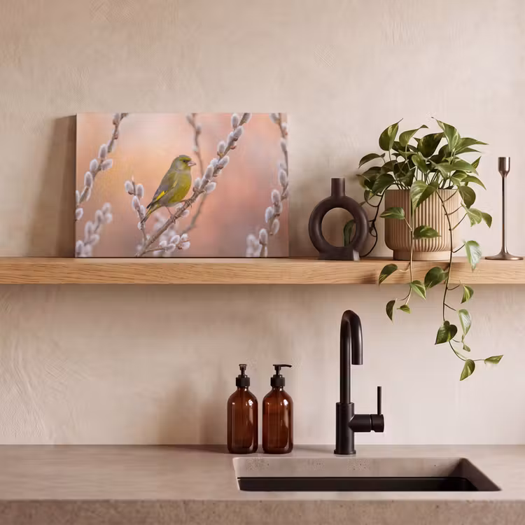 Groenling - Katjes - Lente - Natuur - Zacht canvas 2cm klein -closeup_print_DE