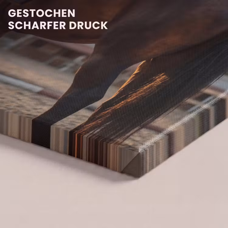 Harmonie - Ruiter - Zon canvas 2cm klein -closeup_print_DE