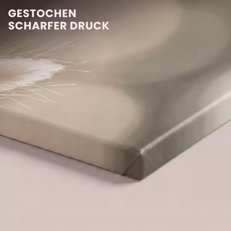 Hazestaartgras - Wit - Zonlicht canvas 2cm klein -uniquesellingpoint_afwerking-onlywow_DE