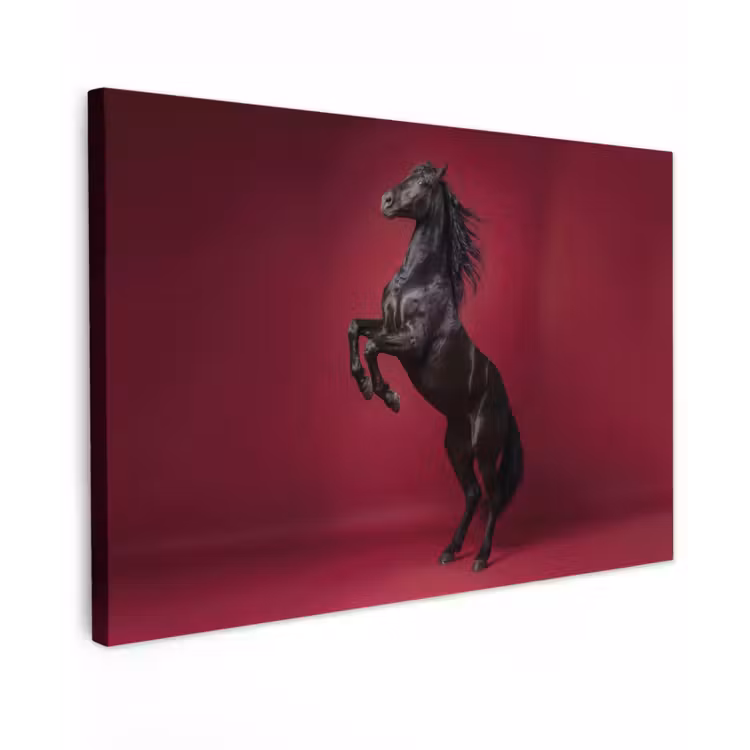 Hengst - Steigert - Rood canvas 2cm klein -z3d
