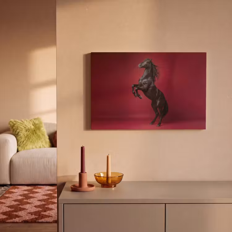 Hengst - Steigert - Rood canvas 2cm klein -sfeer1