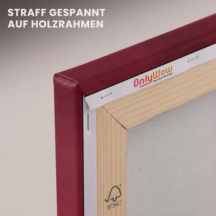 Hengst - Steigert - Rood canvas 2cm klein -uniquesellingpoint_afwerking-onlywow_DE
