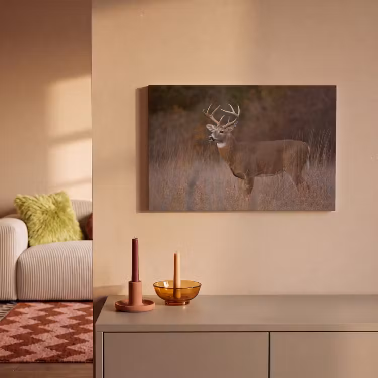 Herfst - Hert - Gras - Natuur - Dieren canvas 2cm klein -sfeer1