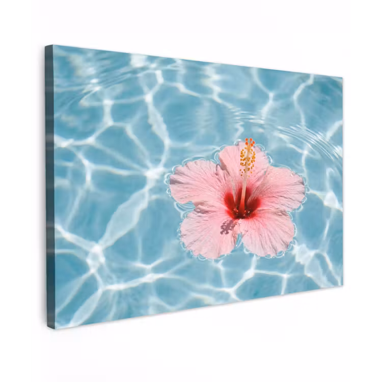 Hibiscus - Water - Roze canvas 2cm klein -z3d