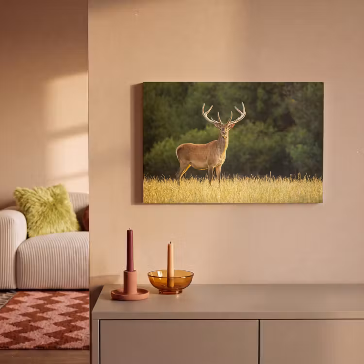 Hert - Gewei - Gras - Natuur - Dieren - Groen canvas 2cm klein -sfeer1