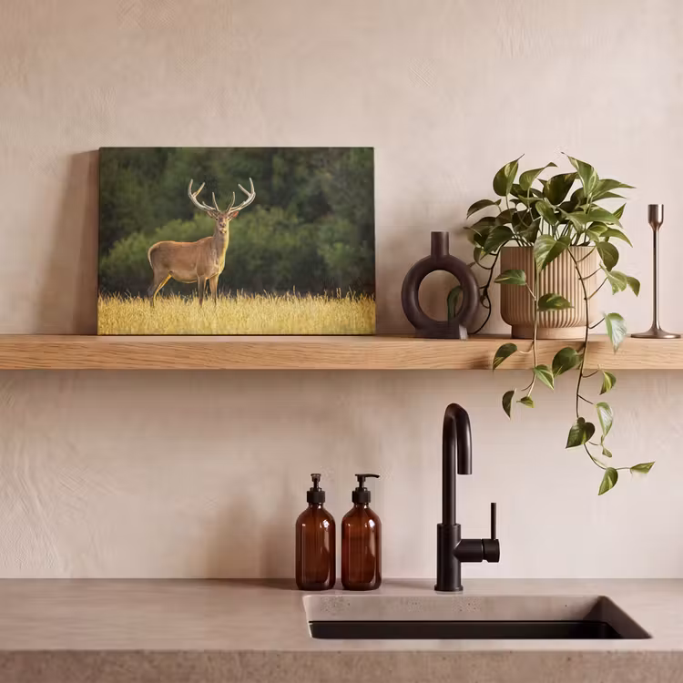 Hert - Gewei - Gras - Natuur - Dieren - Groen canvas 2cm klein -sfeer3