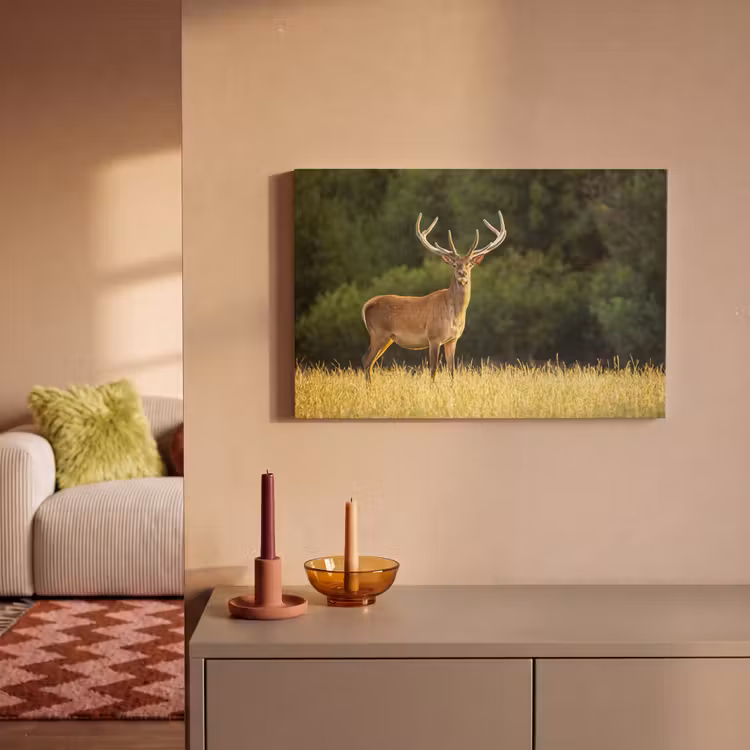 Hert - Gewei - Gras - Natuur - Dieren - Groen canvas 2cm klein -sfeer1