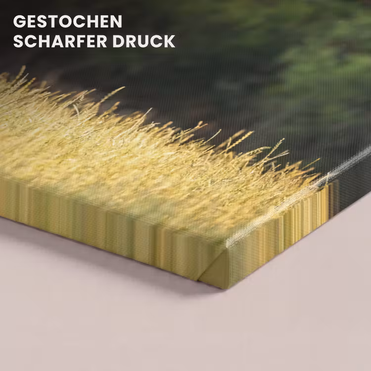 Hert - Gewei - Gras - Natuur - Dieren - Groen canvas 2cm klein -closeup_print_DE