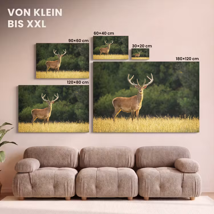 Hert - Gewei - Gras - Natuur - Dieren - Groen canvas 2cm klein -Xsfeer8_DE