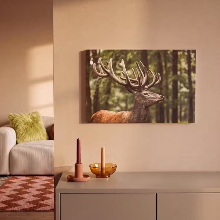 Hert - Natuur - Gewei - Bos - Dieren canvas 2cm klein -sfeer1