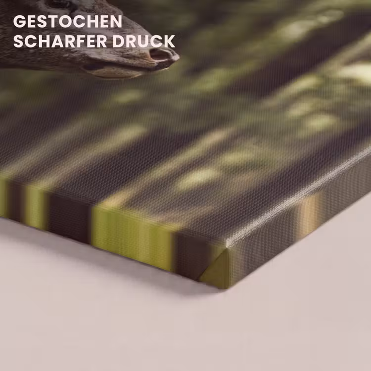 Hert - Natuur - Gewei - Bos - Dieren canvas 2cm klein -closeup_print_DE