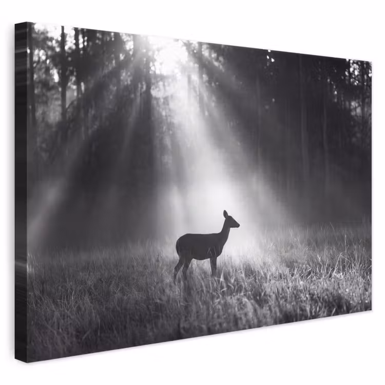 Hert - Bos - Zonnestralen - Zwart-wit - Natuur canvas 2cm klein -3d