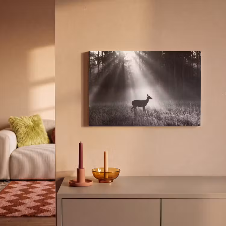 Hert - Bos - Zonnestralen - Zwart-wit - Natuur canvas 2cm klein -sfeer1