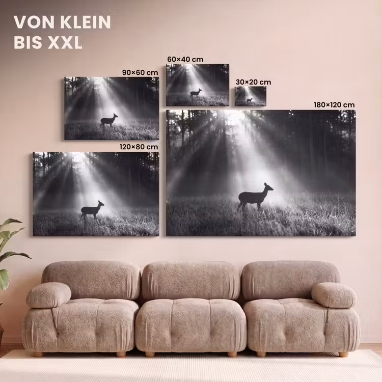Hert - Bos - Zonnestralen - Zwart-wit - Natuur canvas 2cm klein -Xsfeer8_DE