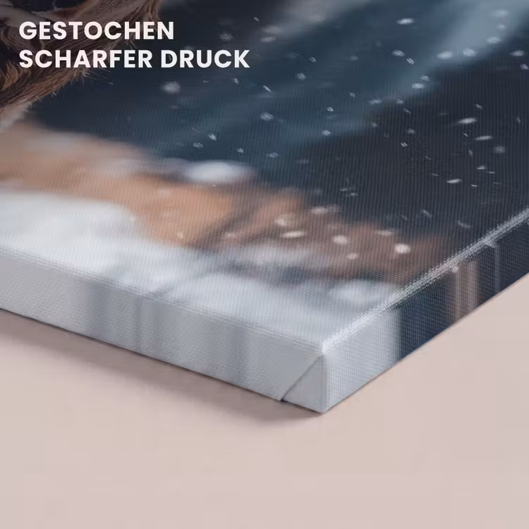 Hert - Winter - Hertenkop - Sneeuw - Gewei canvas 2cm klein -closeup_print_DE
