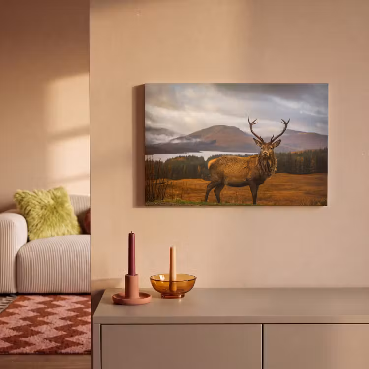 Hert - Berg - Water - Landschap - Dieren - Bomen canvas 2cm klein -sfeer1