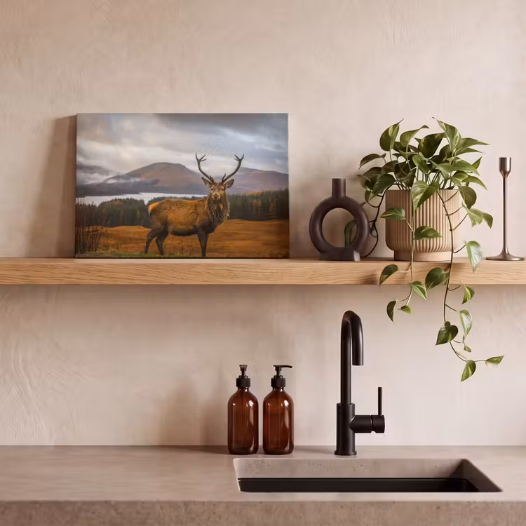 Hert - Berg - Water - Landschap - Dieren - Bomen canvas 2cm klein -sfeer3