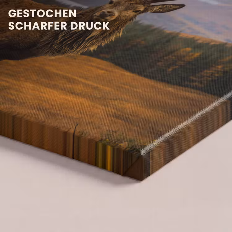 Hert - Berg - Water - Landschap - Dieren - Bomen canvas 2cm klein -closeup_print_DE