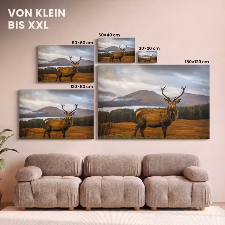 Hert - Berg - Water - Landschap - Dieren - Bomen canvas 2cm klein -Xsfeer8_DE