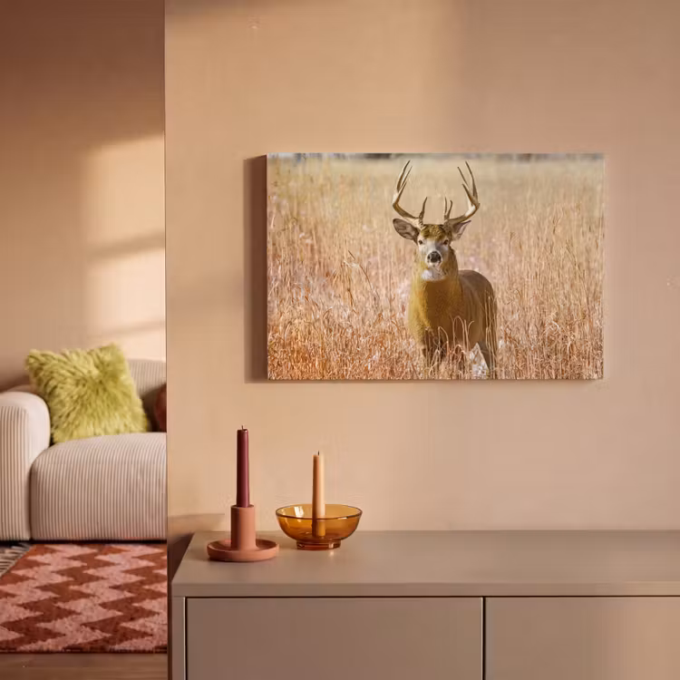 Hert - Gras - Herfst - Dieren - Natuur - Gewei canvas 2cm klein -sfeer1