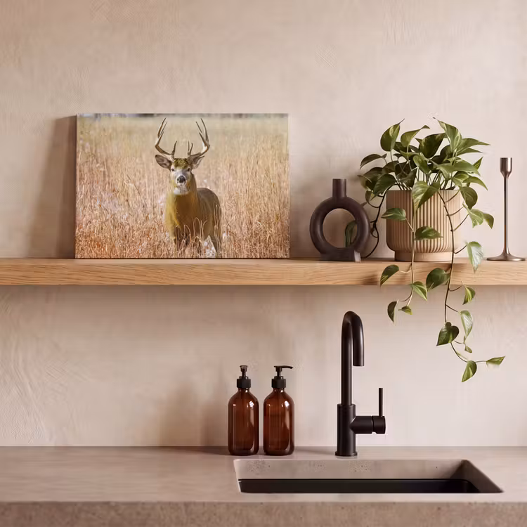 Hert - Gras - Herfst - Dieren - Natuur - Gewei canvas 2cm klein -sfeer3