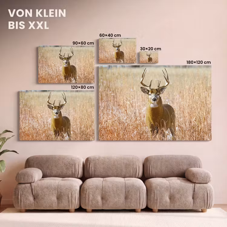 Hert - Gras - Herfst - Dieren - Natuur - Gewei canvas 2cm klein -Xsfeer8_DE