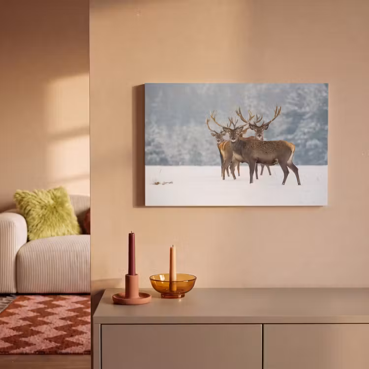 Hert - Dieren - Sneeuw - Winter - Landschap - Natuur canvas 2cm klein -sfeer1