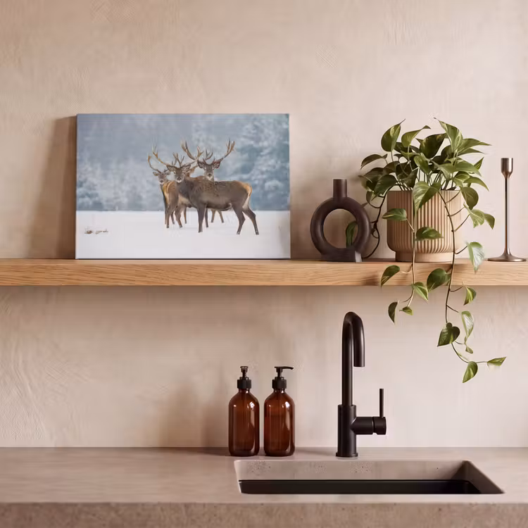 Hert - Dieren - Sneeuw - Winter - Landschap - Natuur canvas 2cm klein -sfeer3