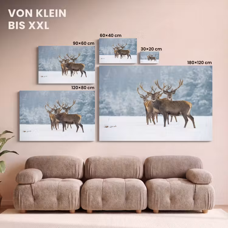Hert - Dieren - Sneeuw - Winter - Landschap - Natuur canvas 2cm klein -Xsfeer8_DE