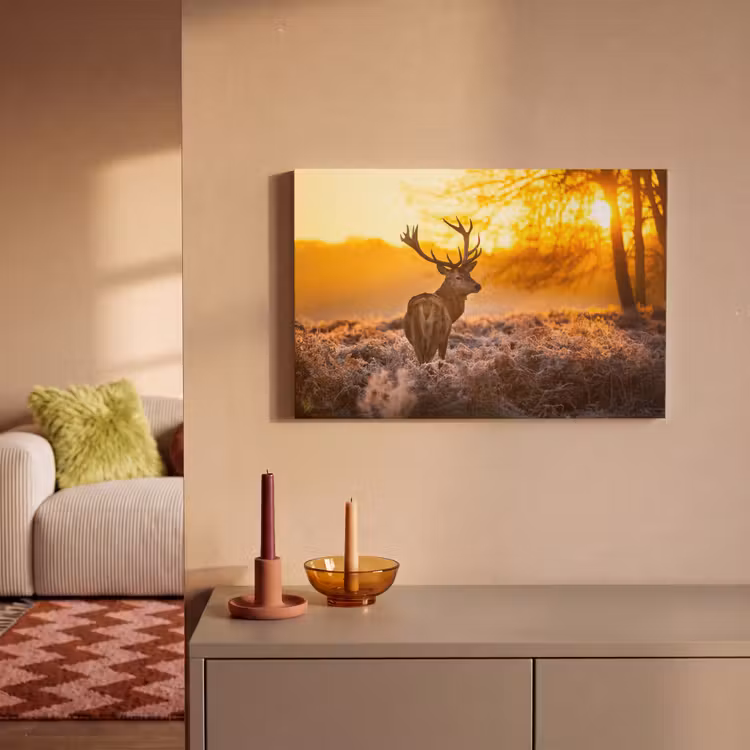 Hert - Dieren - Zonsondergang - Winter - Heide - Natuur canvas 2cm klein -sfeer1