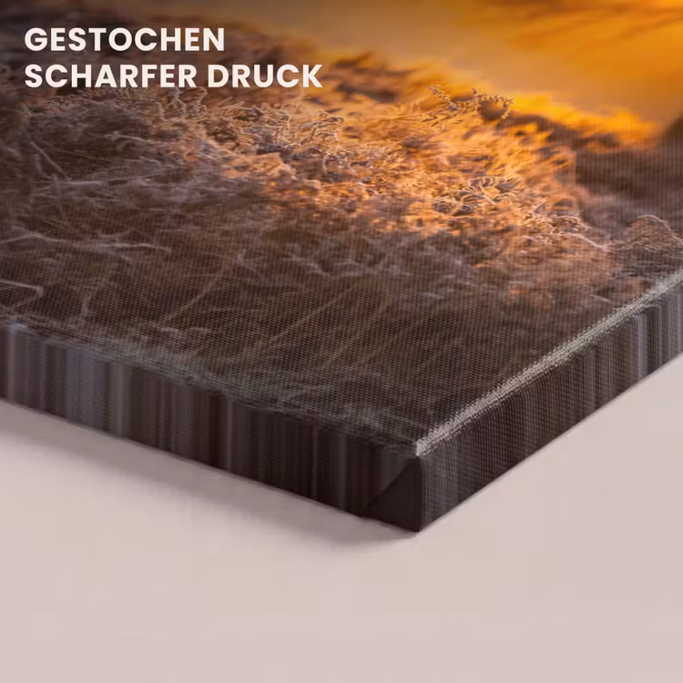 Hert - Dieren - Zonsondergang - Winter - Heide - Natuur canvas 2cm klein -closeup_print_DE