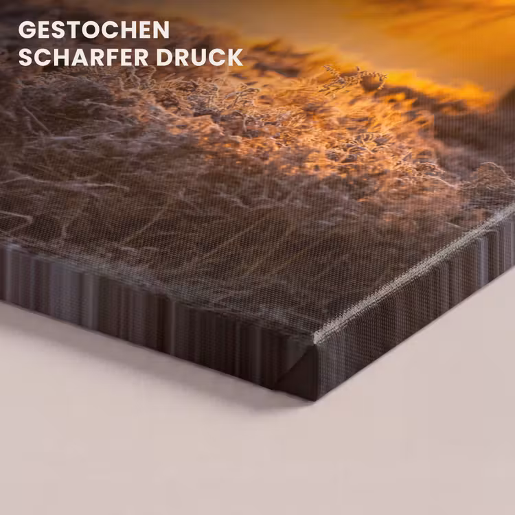 Hert - Dieren - Zonsondergang - Winter - Heide - Natuur canvas 2cm klein -closeup_print_DE